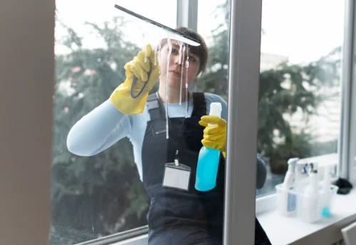 Nettoyage de vitres intérieures et extérieures à Bosroumois